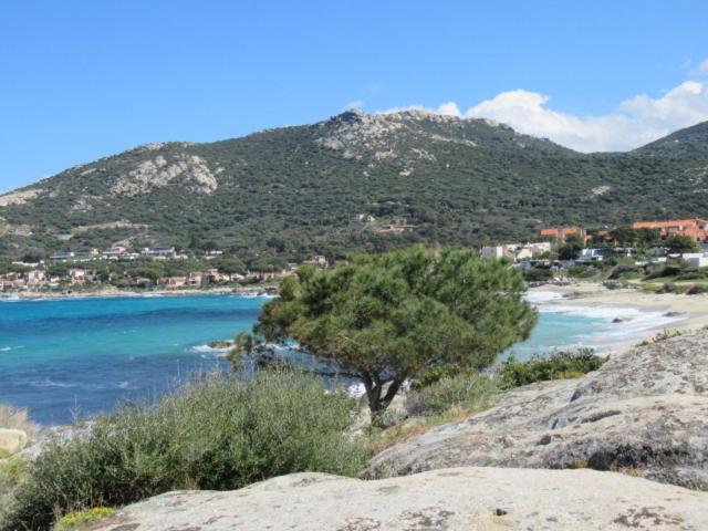T2 Renove 100M Plage Avec Spa Privatif Entre Calvi Et Ile Rousse Lumio  Bagian luar foto